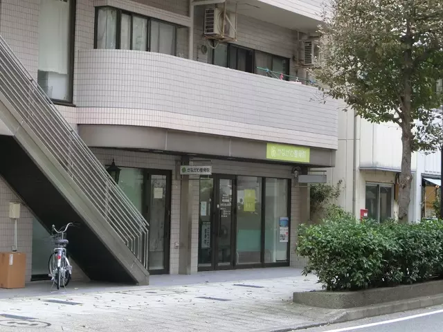かながわ整骨院
