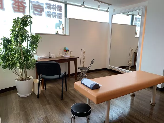 整骨院壱番館