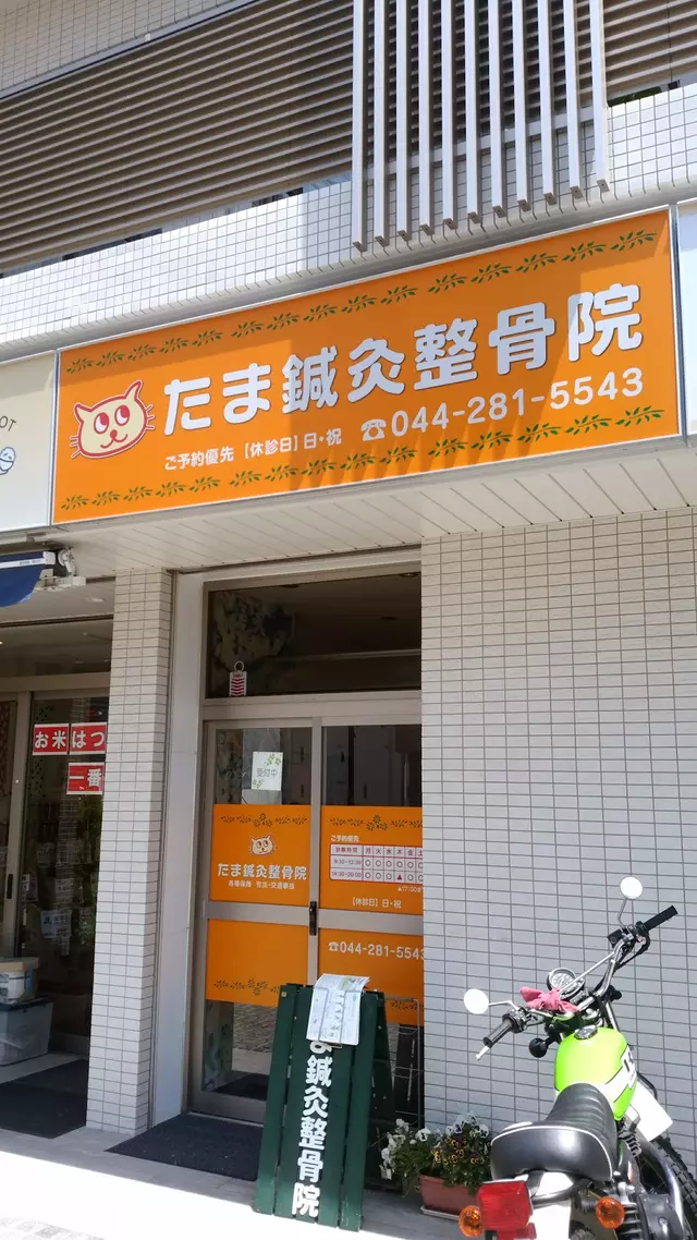 たま鍼灸整骨院