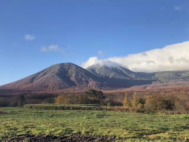 中平整骨院