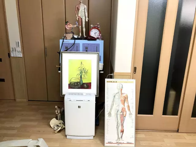 ひまわり接骨院