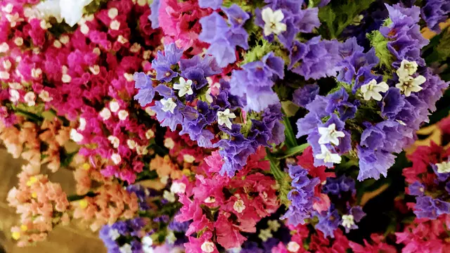 みかた整骨院