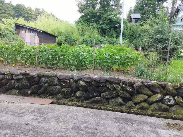大橋整骨院