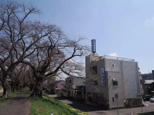 水野整骨院