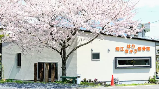 堀江接骨院