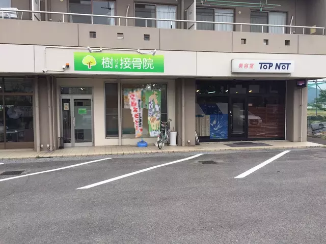 樹接骨院