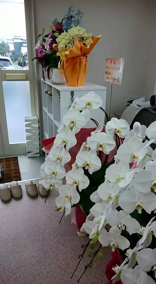 あんず鍼灸マッサージ治療院事務所