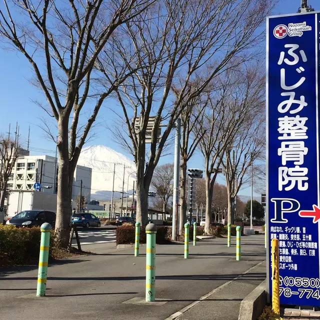 ふじみ整骨院