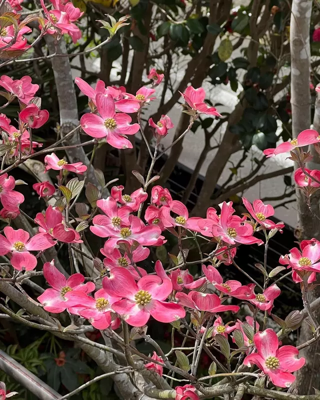 さかもと鍼灸接骨院