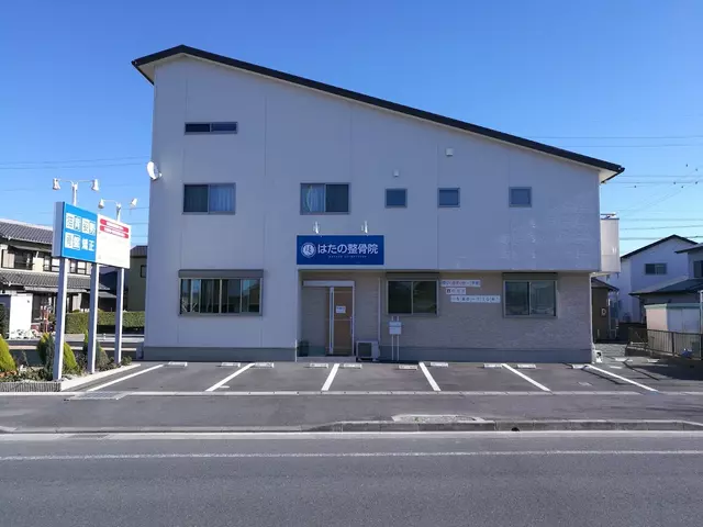はたの整骨院