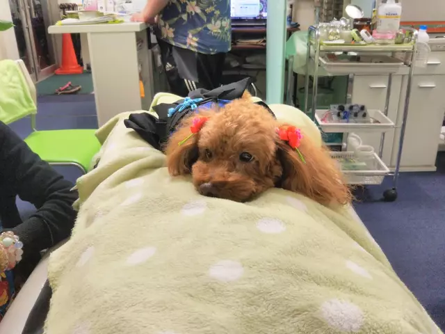 ステラ治療院