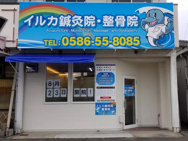 イルカ・鍼灸院整骨院