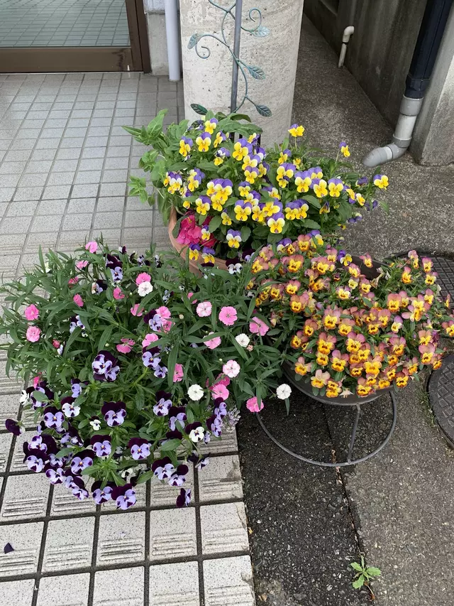 三浦接骨院