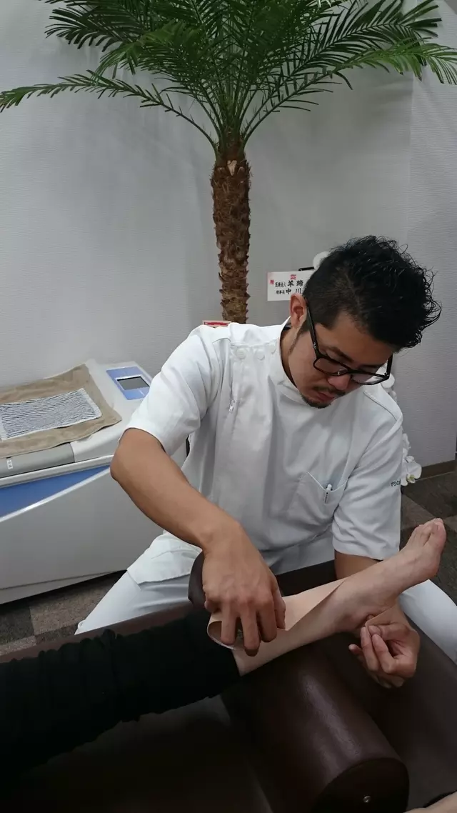ヤシの木接骨院