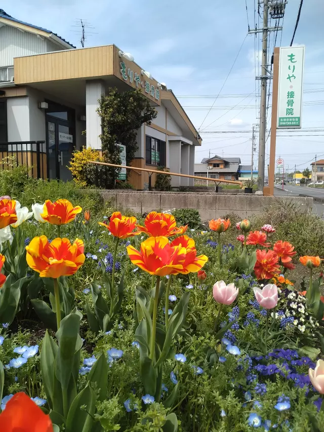 もりや・接骨院