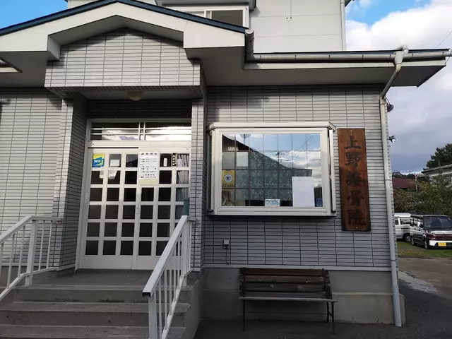 上野接骨院