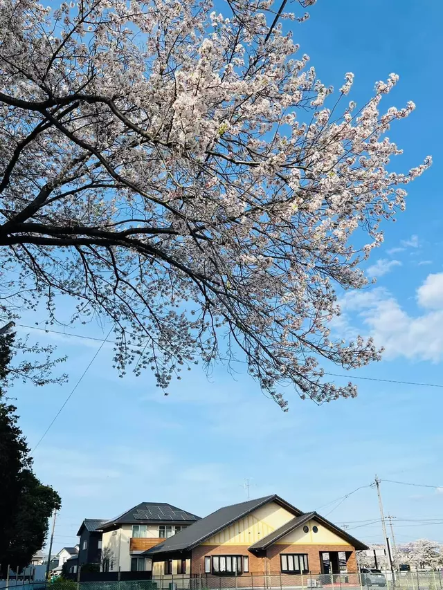 みやち接骨院