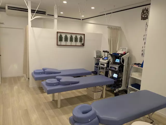 しんもりやま整骨院