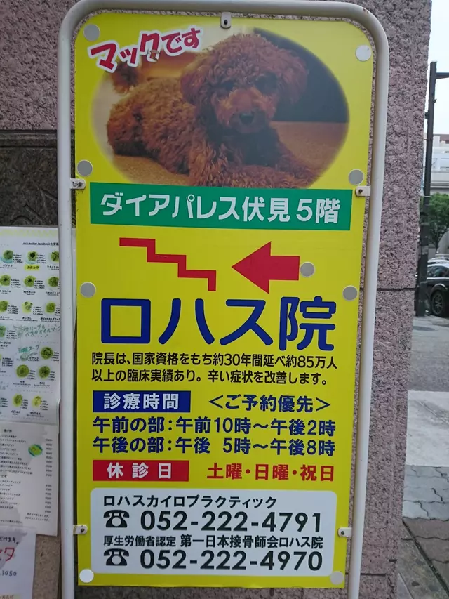 ロハス接骨院