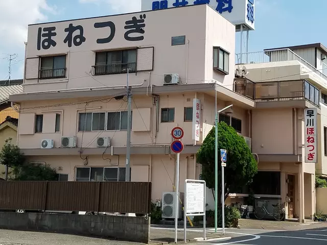 早川ほねつぎ