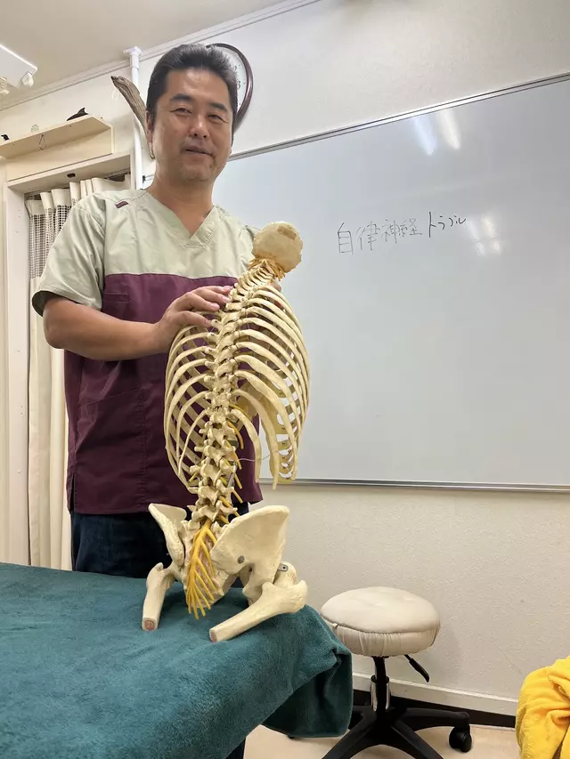 白鳥鍼灸接骨院