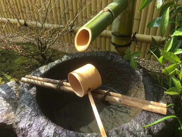 ここね整骨院