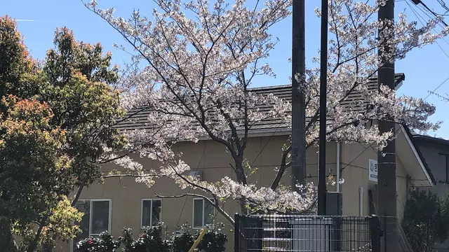 きし整骨院