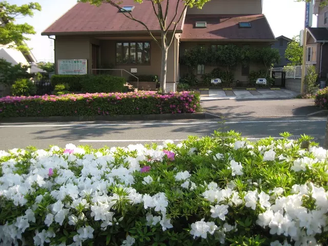 たけもと整骨院