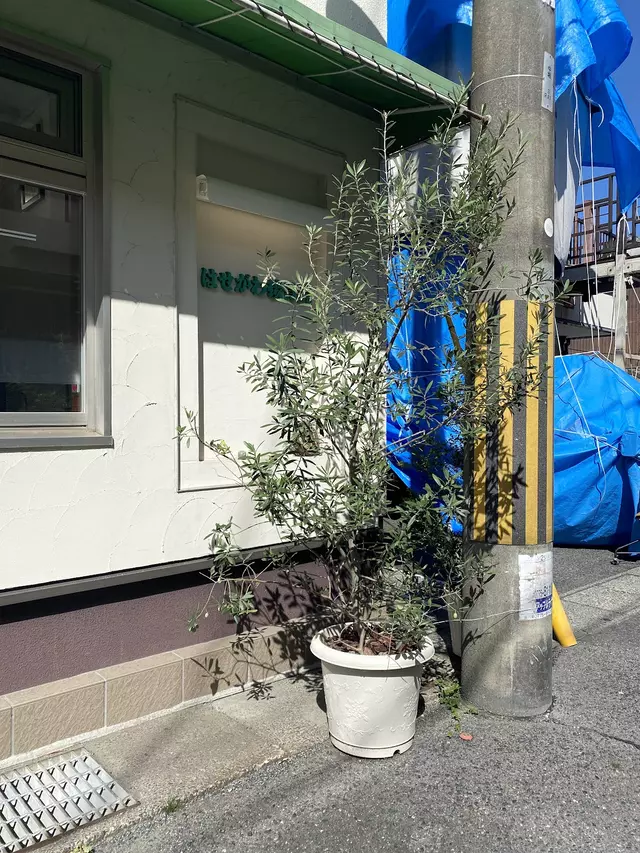 はせがわ接骨院