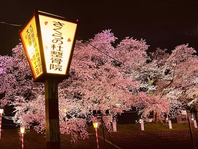 さくらの杜整骨院