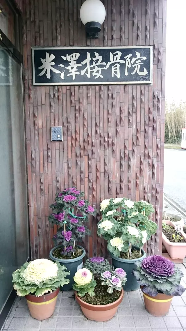 米澤接骨院