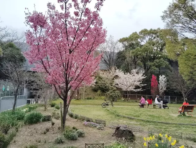 かいがわ整骨院