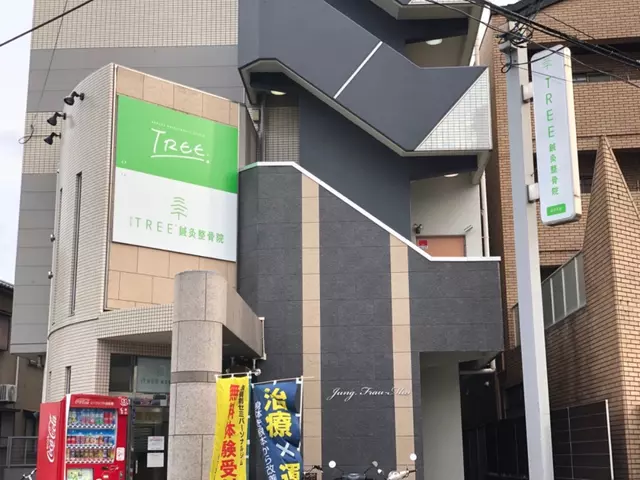 TREE鍼灸整骨院 向日市店