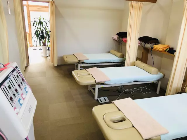 のだ整骨院・鍼灸院