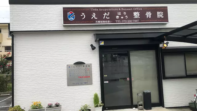 うえだはりきゅう整骨院