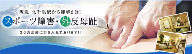 アルプス鍼灸整骨院