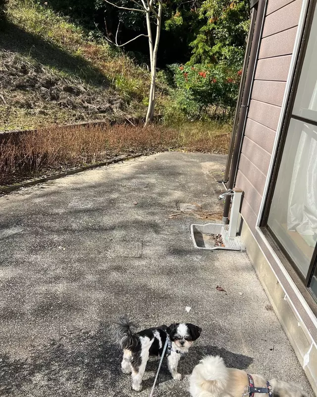 グリーン鍼灸整骨院