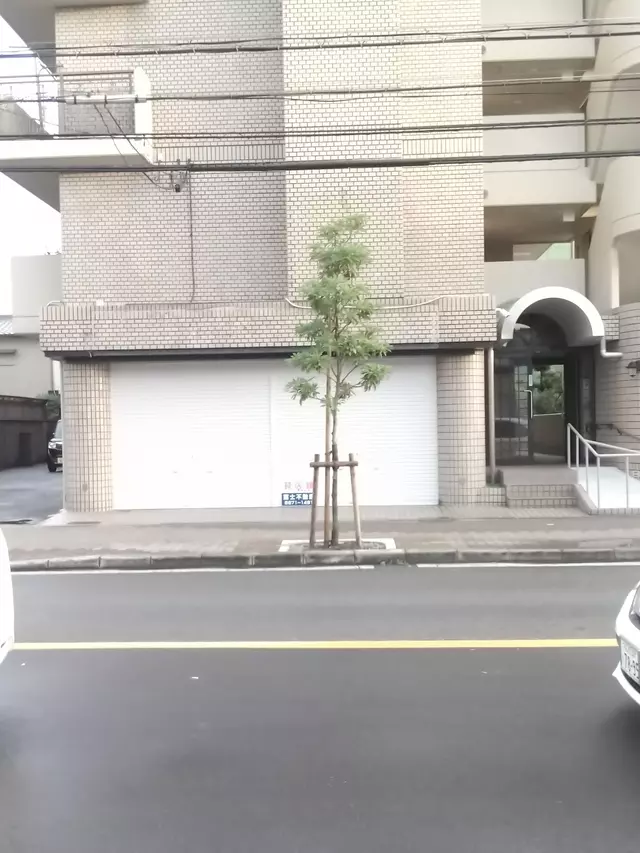 谷鍼灸整骨院