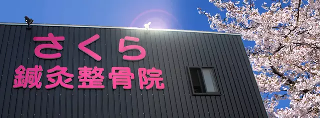 さくら鍼灸整骨院