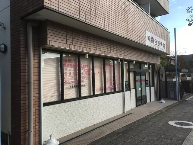 向陽台整骨院