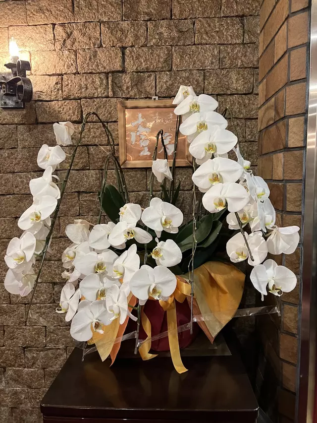 生田整骨院学園前本院