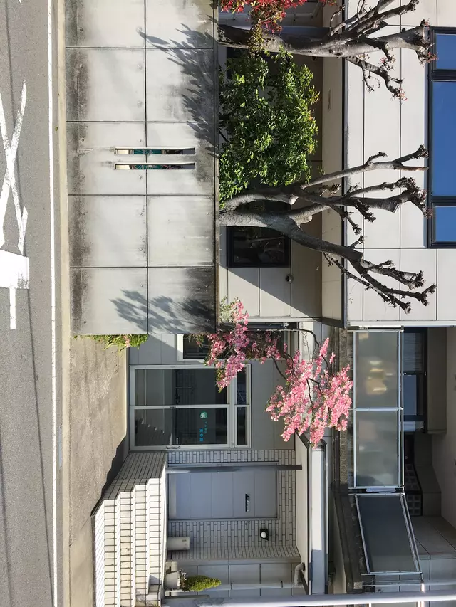 すみおか接骨院