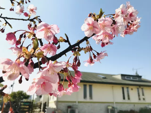 みなみ鍼灸整骨院