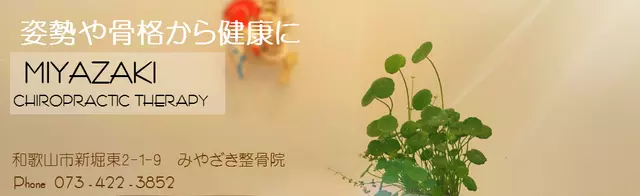 みやざき鍼灸整骨院