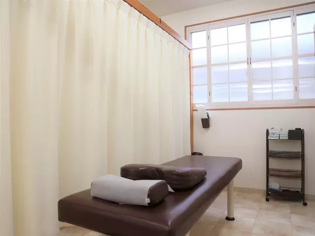 接骨鍼灸院しろくま堂