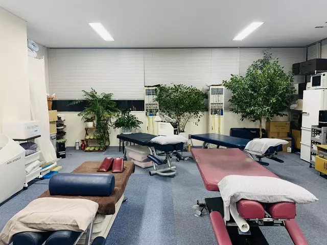 安芸整骨院