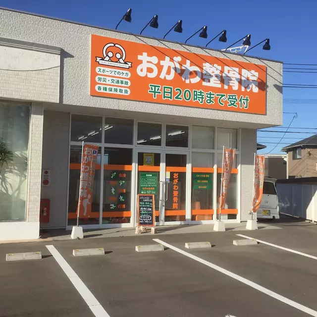 おがわ整骨院