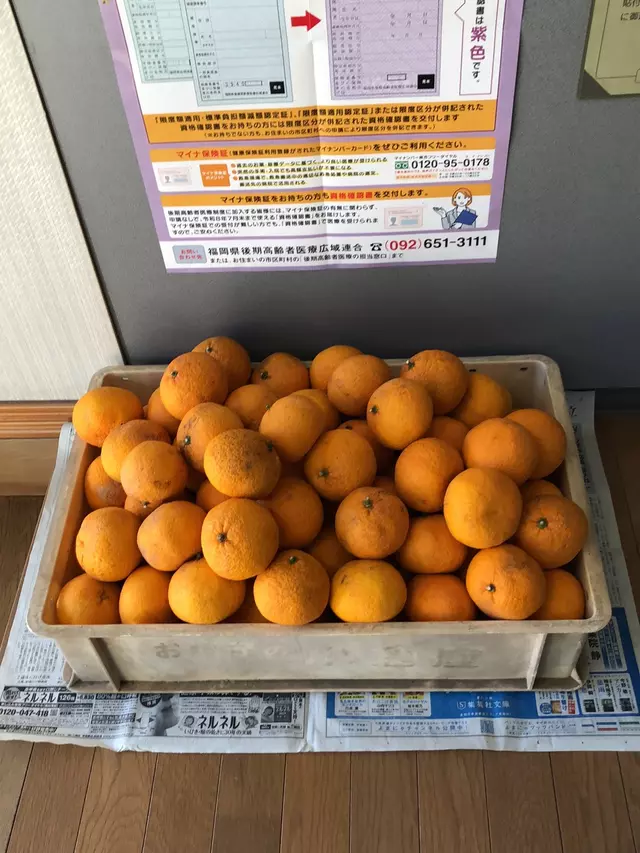 高橋整骨院天心流正体術