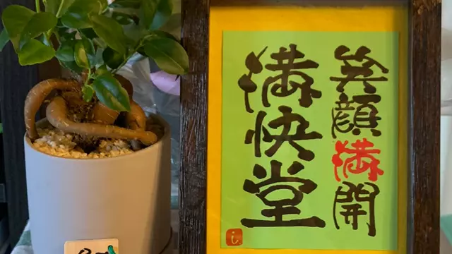 桝田整骨院