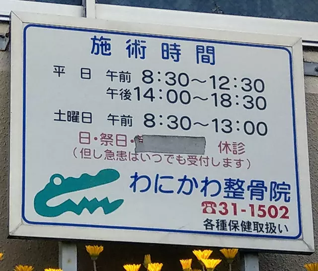 わにかわ整骨院